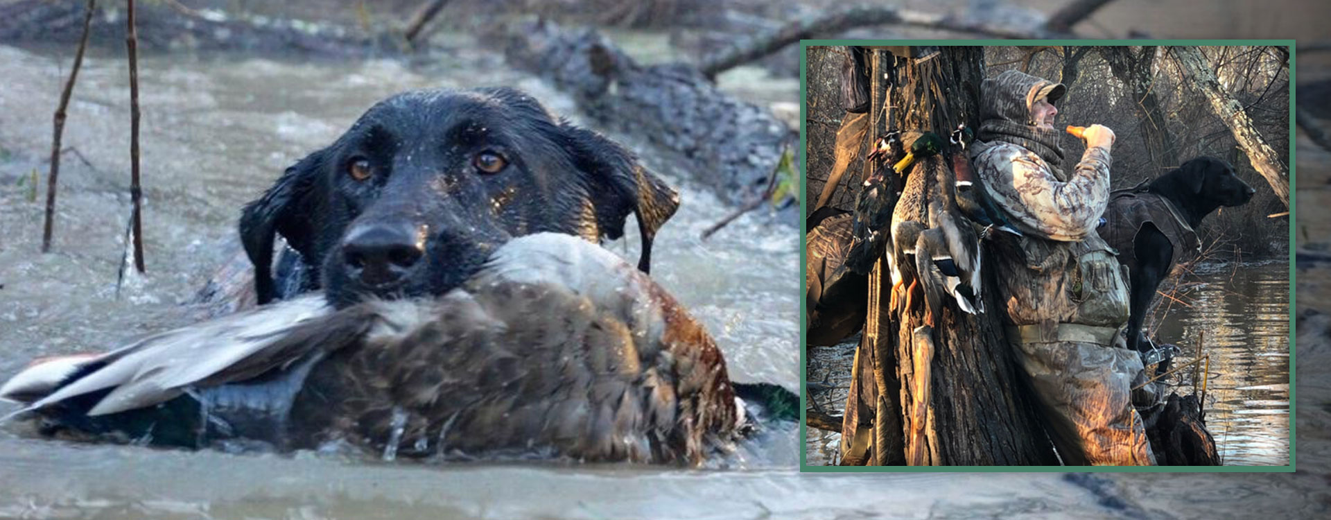 Duck Hunting Outfitter in Brinkley Arkansas