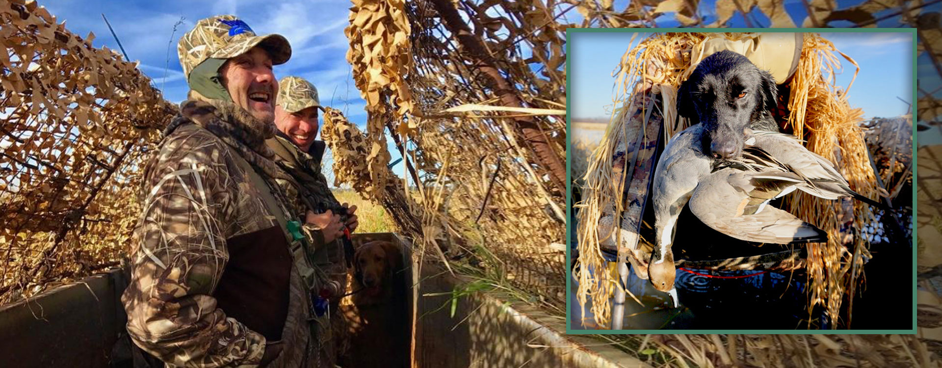 Duck hunting blind and retrieving dog in Arkansas at Blazn Guns Hunting