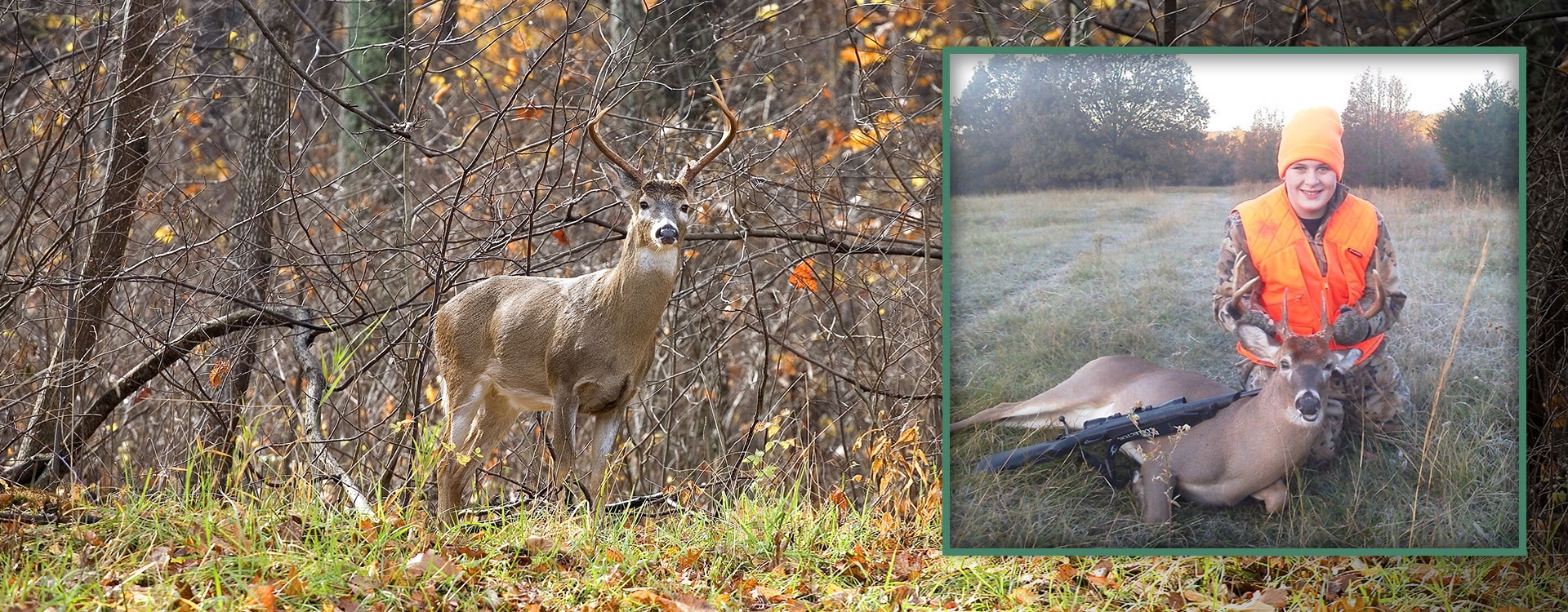 Whitetail deer hunting near Brinkley Arkansas